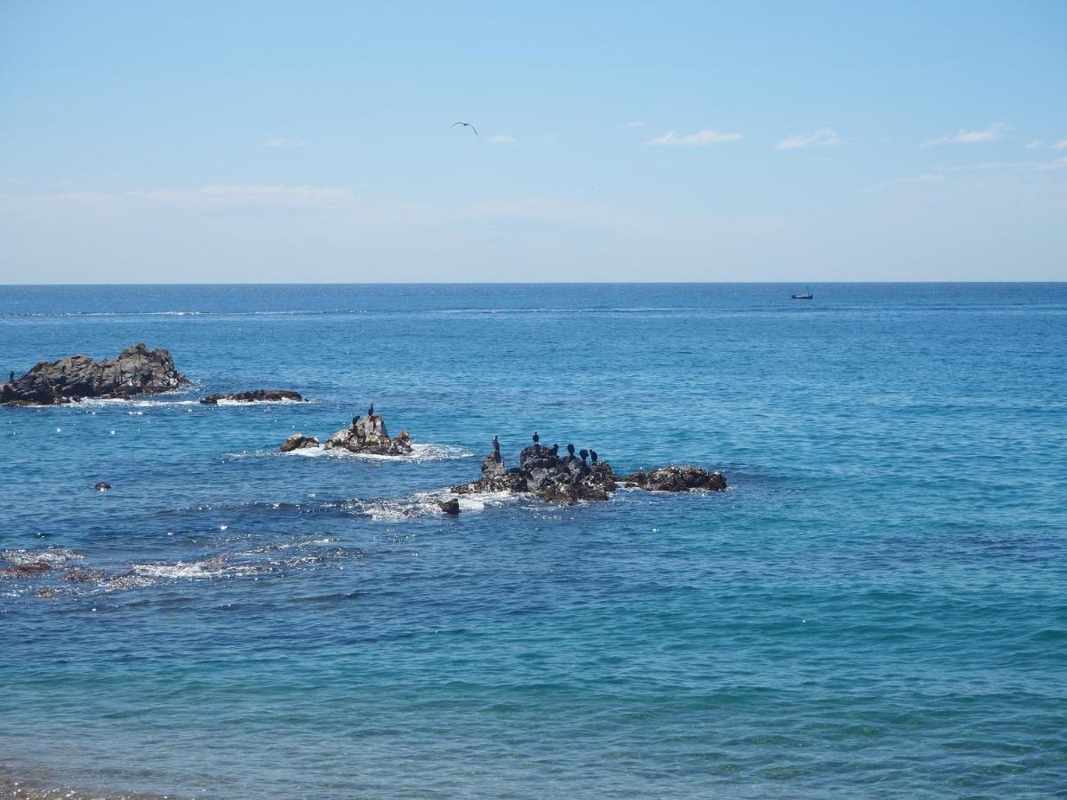 Apartamento Mar I Cel Blanes Dış mekan fotoğraf