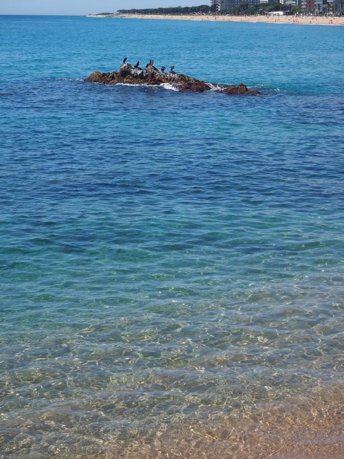 Apartamento Mar I Cel Blanes Dış mekan fotoğraf